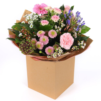 Pink Radiance - Description